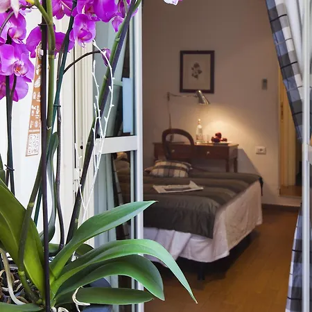 ホテル デ ペトリス 3*